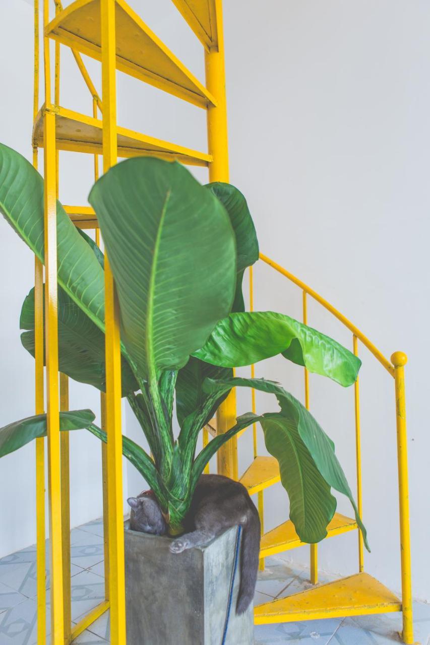 Zone Da Nang Hostel Kültér fotó